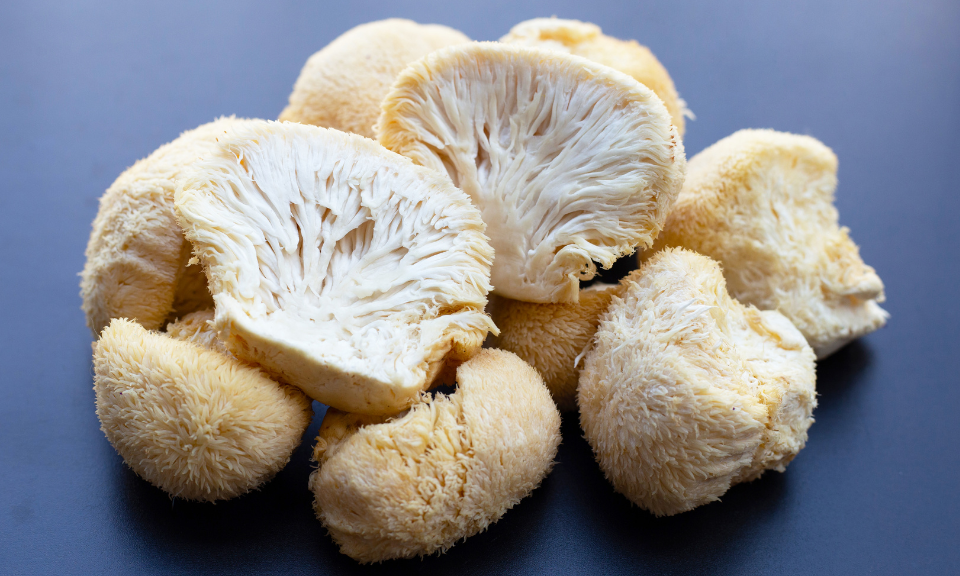 Coupe champignons crinière de lion